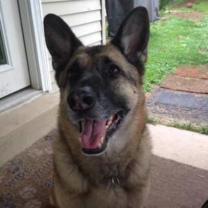 Meet your Posher, Michele